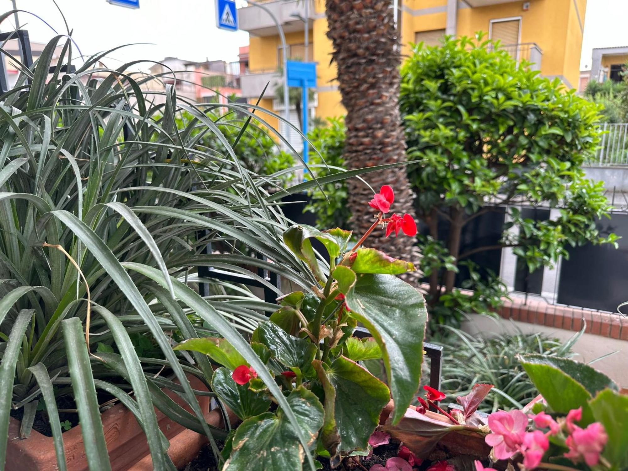 Pompei Blu Sant'Auri Apartment Scafati Exterior photo